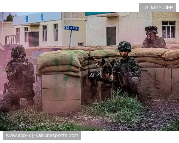 后防空档减少的技战术建议——提升防御稳定性的新思路 后防空档减少的技战术建议——提升防御稳定性的新思路